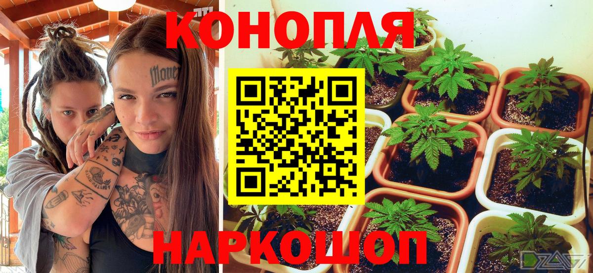 Полевской  Бошки марихуана White Widow  Бошки Шишки MAZAR  Конопля марихуана  Вход с VPN 